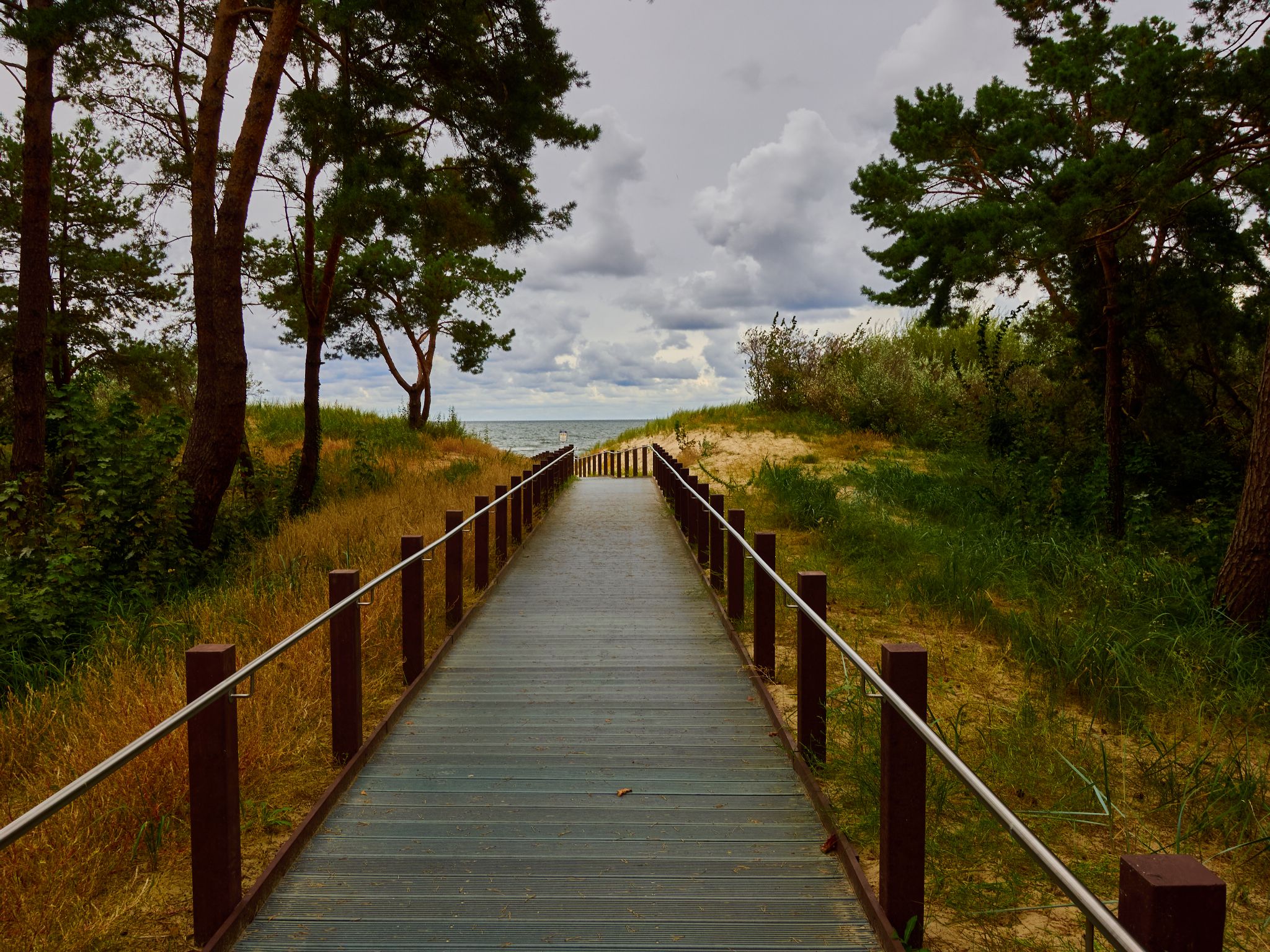 Landschaft 2024  1752 Usedom